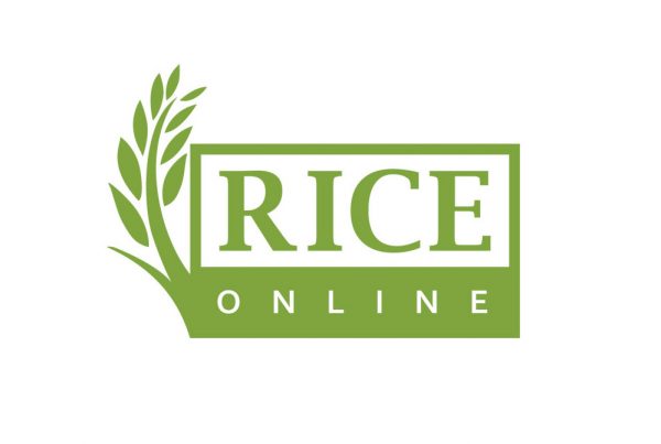 Rice Online logo design